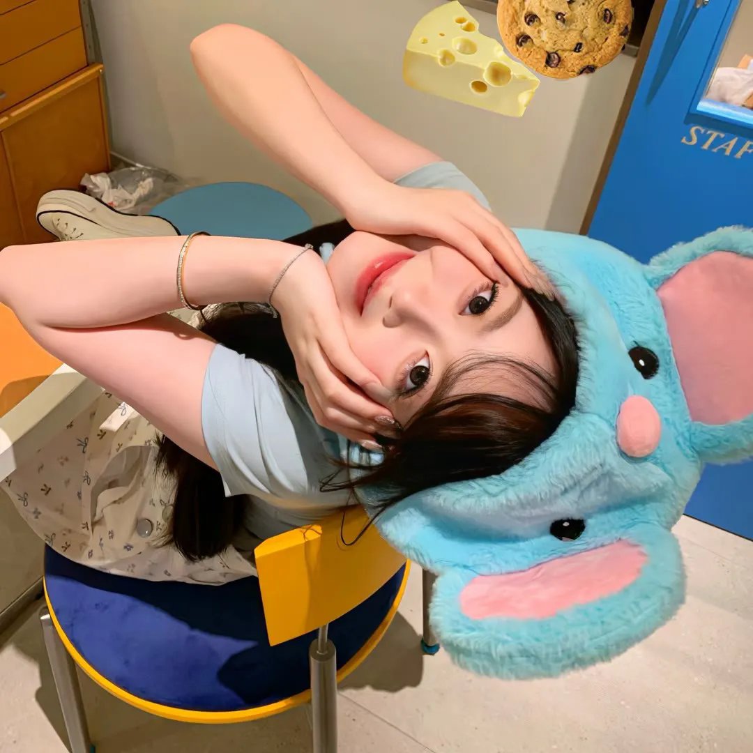 汪汪队立大功第五季